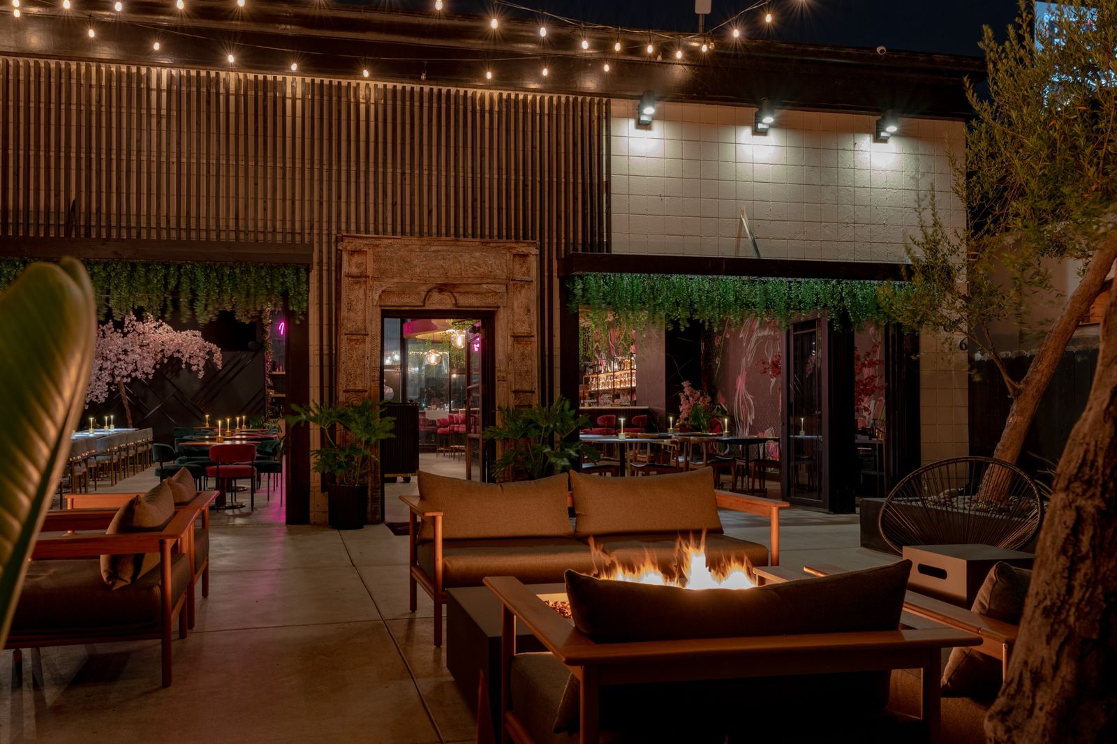 Cherryfish patio at night with fire pit lounge, string lights and garden, Pacific Beach San Diego